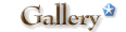 Gallery.gif 111x30 2kt