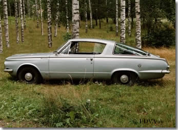 Barracuda -65